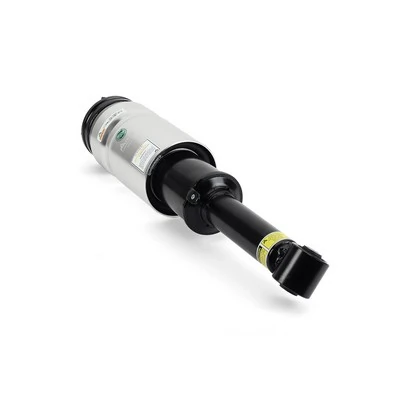 AS2809 Arnott Amortyzator przedni