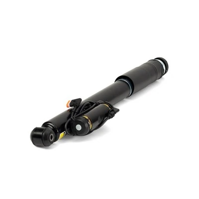 SK3012 Arnott Amortyzator tylny