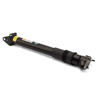 SK2868 Arnott Amortyzator tylny