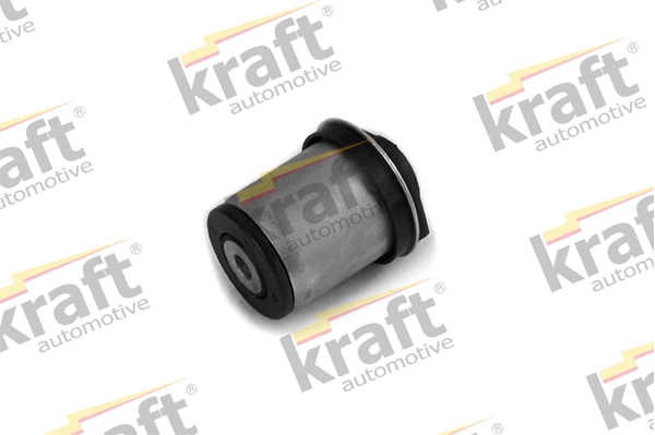 4231847 Kraft