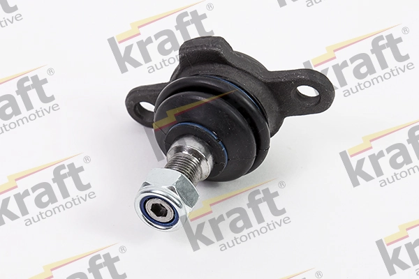 4220630 Kraft