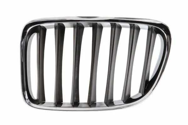 Atrapa grill BMW X1