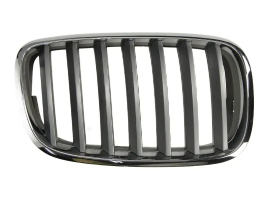 Atrapa grill BMW X5