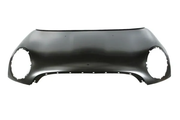 Maska silnika MINI Cooper R56