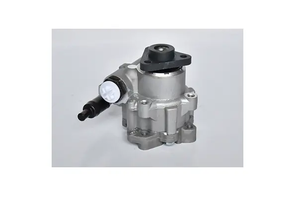 Do koszyka Pompa wspomagania hydraulicznego kierownicy Volkswagen Passat B5 3B3