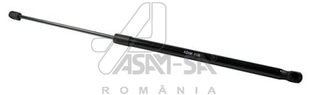 30468 Asam