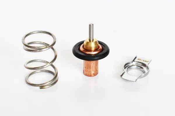 Obudowa termostatu Renault LODGY JS