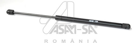 30230 Asam