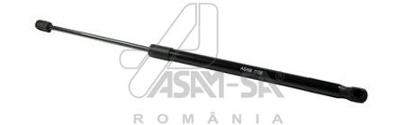 30467 Asam