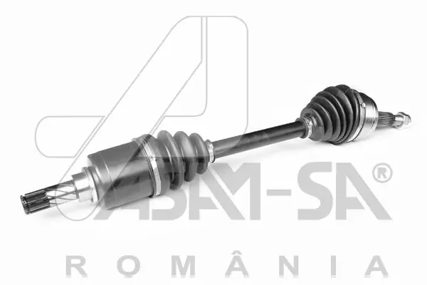 30971 Asam