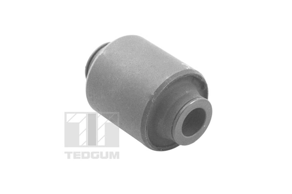 TED12066 Ted-gum