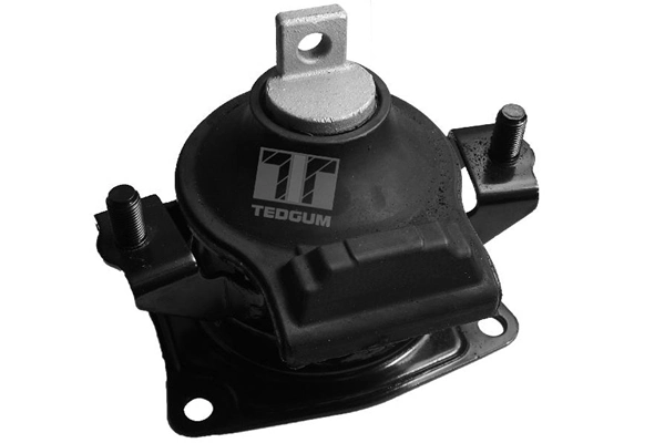 Do koszyka Poduszka (podpora) silnika tylna Honda Accord VII CL, CM