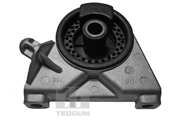 00509064 Ted-gum
