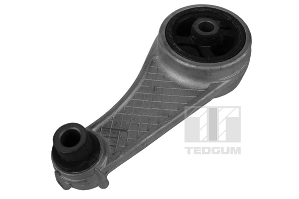 00584310 Ted-gum
