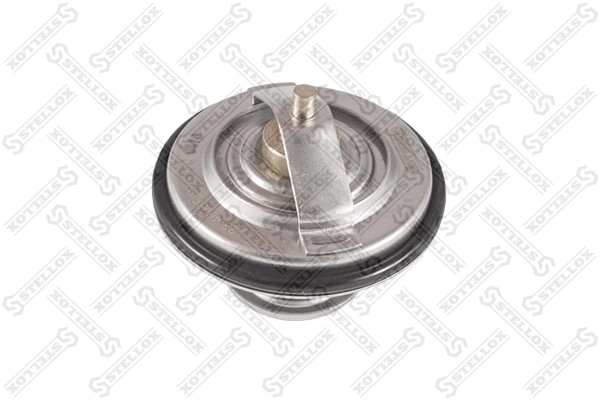 Termostat Peugeot/Citroen 96005005