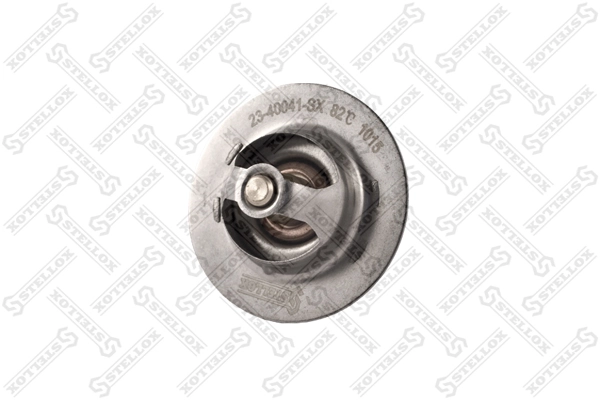  Termostat Renault 19 2