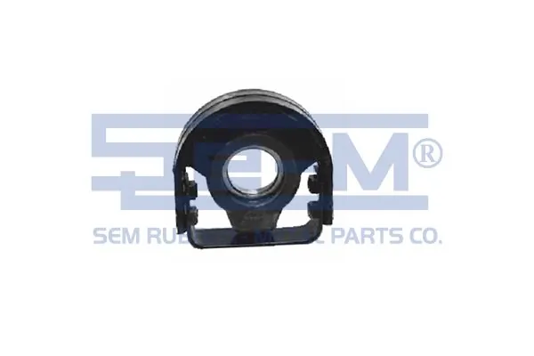 12953 SEM
