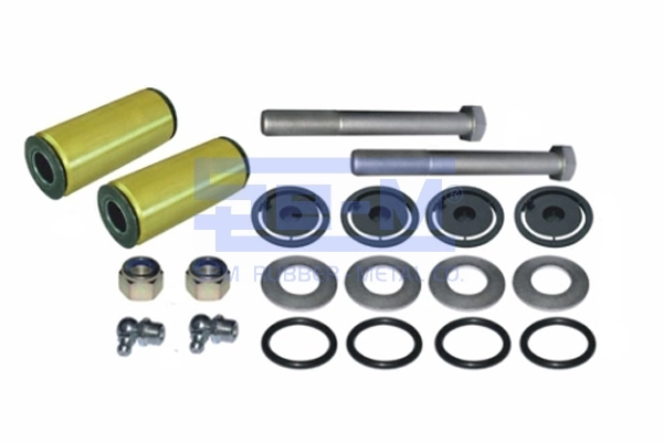 Silentblock tylnego resoru tylny 5010060127 Nissan/Infiniti