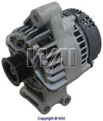Do koszyka MS1022118354 Ford Alternator