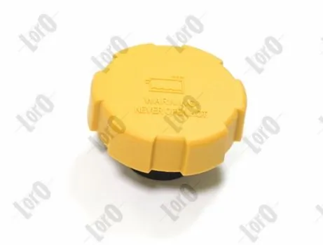 Pokrywa (korek) zbiornika wyrównawczego General Motors 09202799 cena, od 6,25 USD