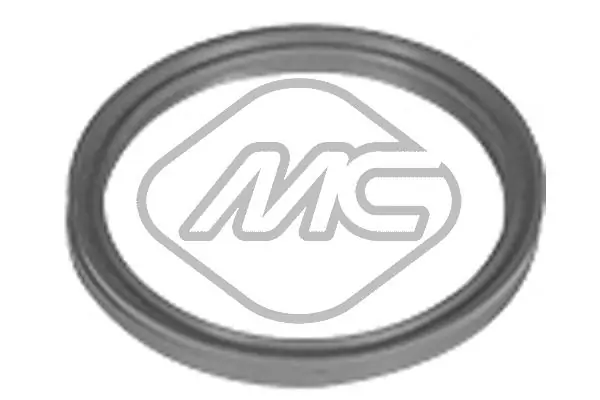 98720 Metalcaucho