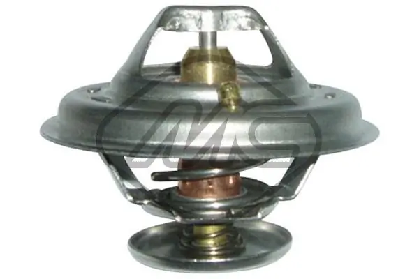 30289 Metalcaucho