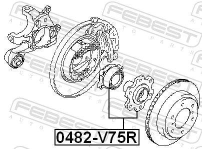 0482V75R Febest Piasta tylna