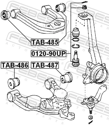 TAB486 Febest Silentblock przedniego wahacza dolnego