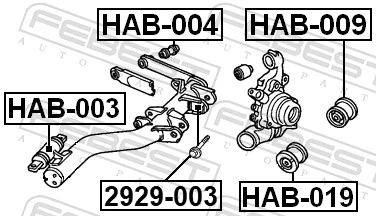HAB003 Febest Silentblock wahacza tylnego dolnego