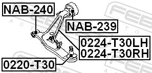 NAB239 Febest Silentblock przedniego wahacza dolnego