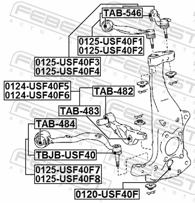 TAB482 Febest Silentblock przedniego wahacza dolnego