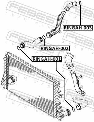 RINGAH003 Febest Uszczelka (podkładka) rurki intercoolera