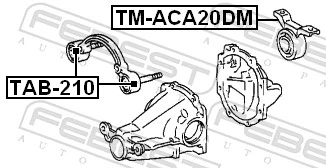 TMACA20DM Febest Silentblock tylny (poduszka) reduktora mostu tylnego