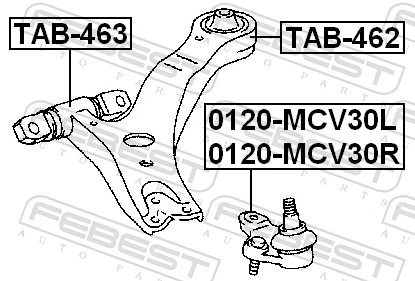 TAB463 Febest Silentblock przedniego wahacza dolnego
