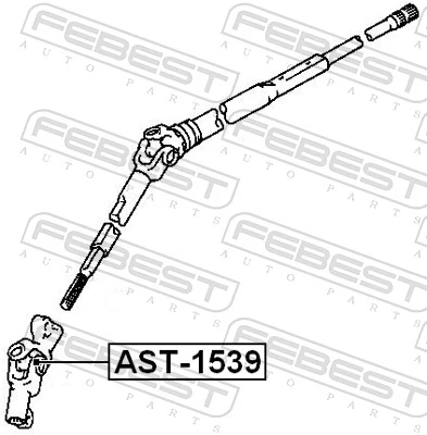 AST1539 Febest 