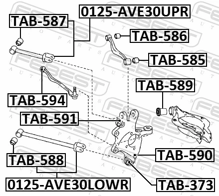 TAB589 Febest Silentblock wahacza tylnego dolnego