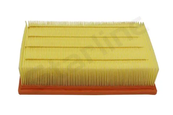 SFVF7781 Starline