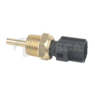 24571 Ossca