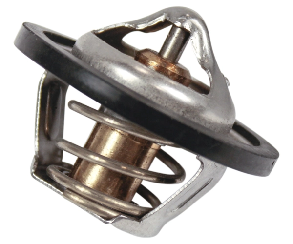 Termostat General Motors 1338870