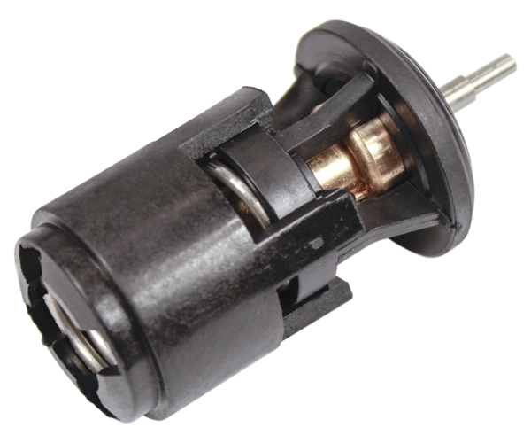  Termostat Rover 400 