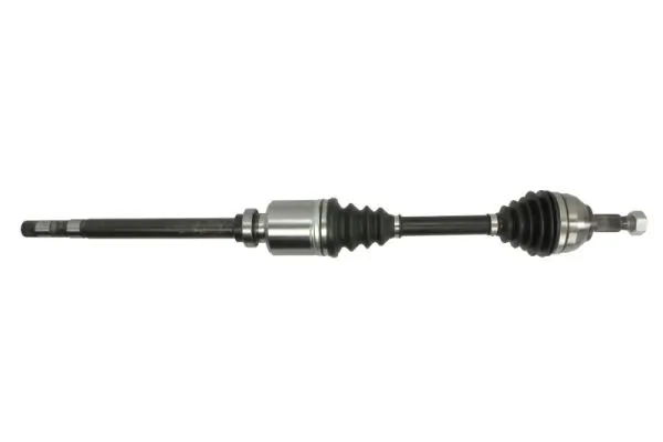 G2C102PC Pascal