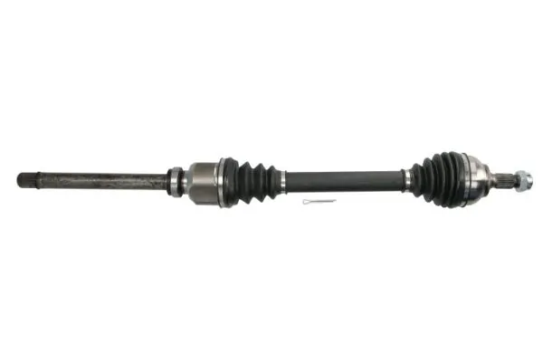 G2C166PC Pascal