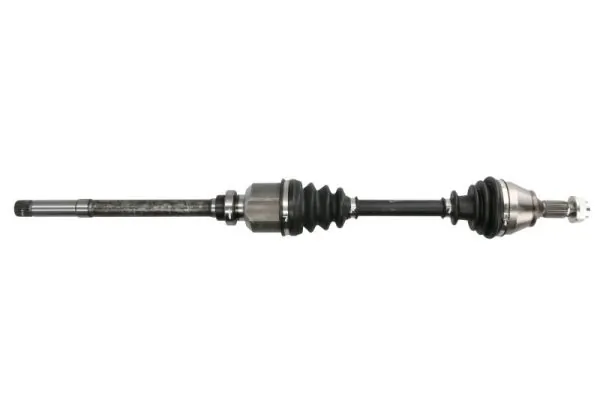 G2P013PC Pascal