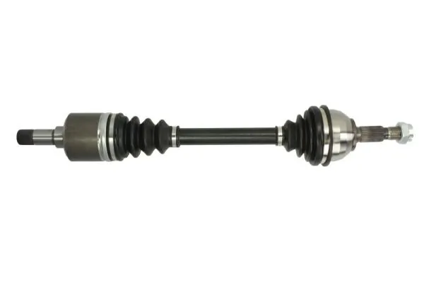 G2C113PC Pascal