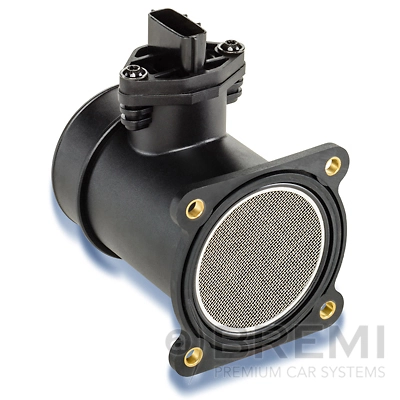 30024 Bremi