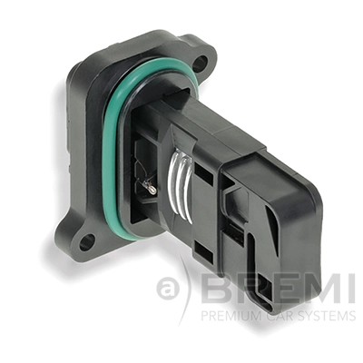 30384 Bremi