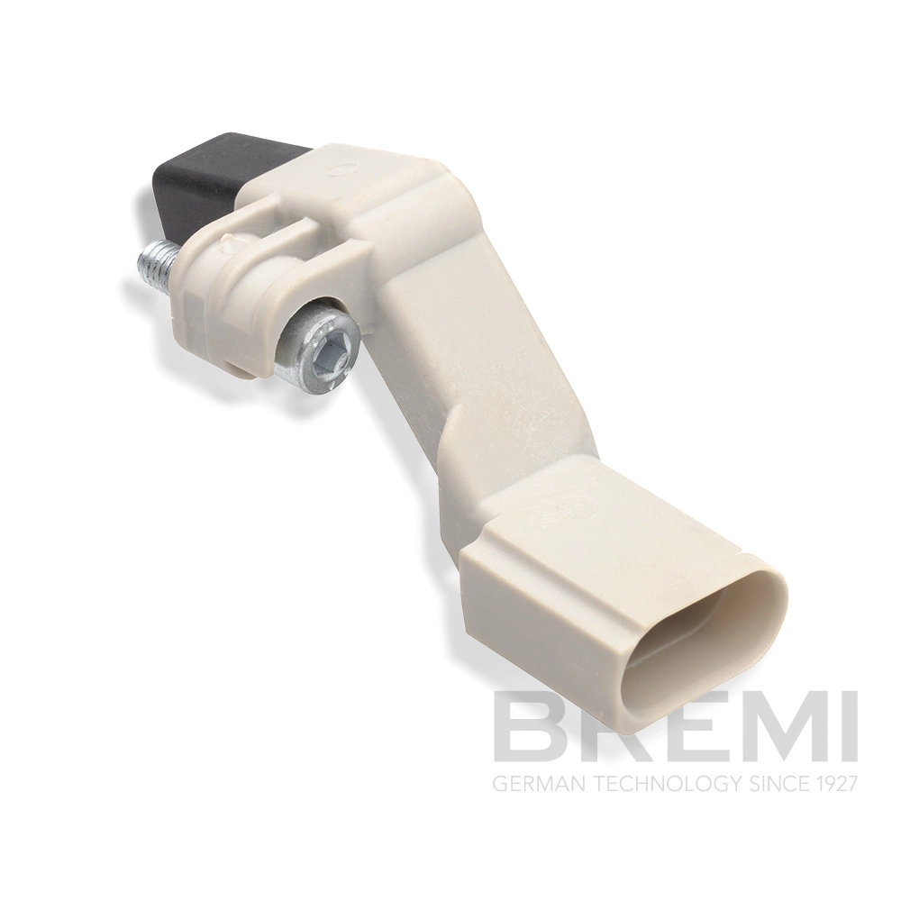 60651 Bremi