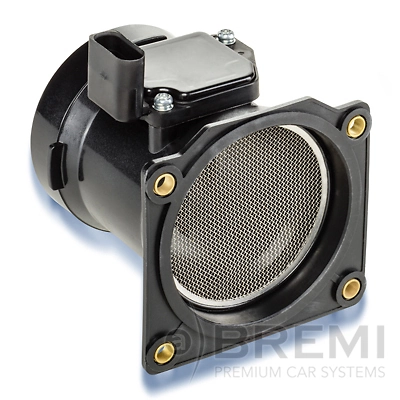 30095 Bremi