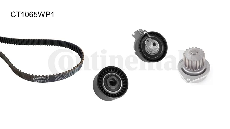 CT1065WP1 Continental/Siemens