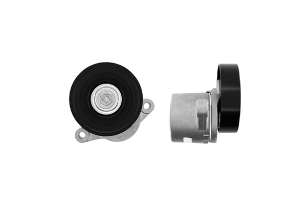 Napinacz paska napędowego SKF VKM66005 cena, od 39,49 USD